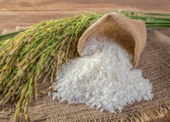 Japan Buys Korean Rice for the First Time in 25 Years: What It Means for Global Grain Markets