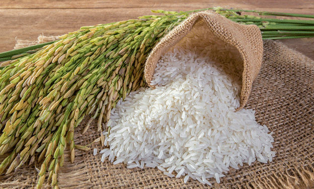 Japan Buys Korean Rice for the First Time in 25 Years: What It Means for Global Grain Markets
