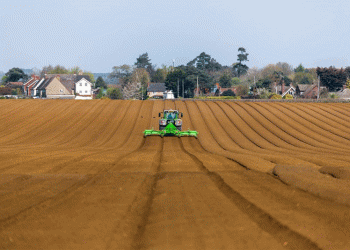 Orel Region Nears Completion of Spring Crop Planting: Key Trends and Regional Leaders