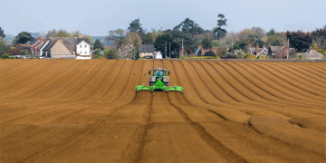 Orel Region Nears Completion of Spring Crop Planting: Key Trends and Regional Leaders