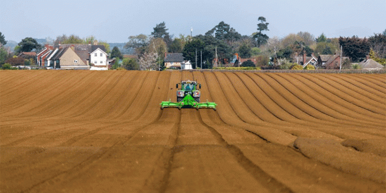 Orel Region Nears Completion of Spring Crop Planting: Key Trends and Regional Leaders