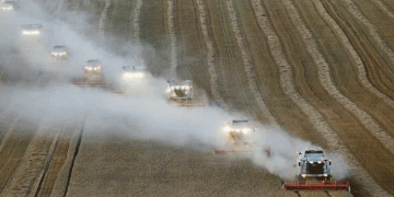 Russia’s Wheat Export Boom to Africa: Key Trends, Market Shifts, and Future Projections