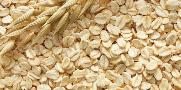 Oats in Crisis: Tariffs, Supply Shortages, and the Future of North America’s Key Crop