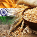 India Set for Record Wheat Harvest: Key Factors and Global Implications