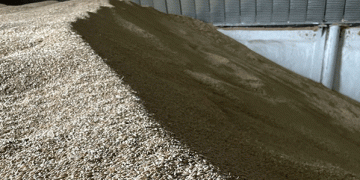 Kazakhstan’s Barley Outprices Wheat: Market Trends and What It Means for Farmers