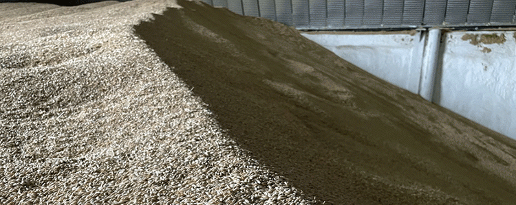 Kazakhstan’s Barley Outprices Wheat: Market Trends and What It Means for Farmers