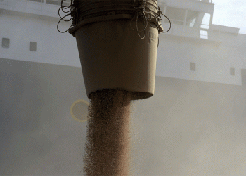 China’s Heatwave Threatens Wheat Yield: Can Farmers Mitigate the Risks?