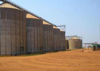 Bashkiria’s Agricultural Boom: How Wheat, Flax, and Barley Are Conquering Global Markets