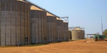 Bashkiria’s Agricultural Boom: How Wheat, Flax, and Barley Are Conquering Global Markets