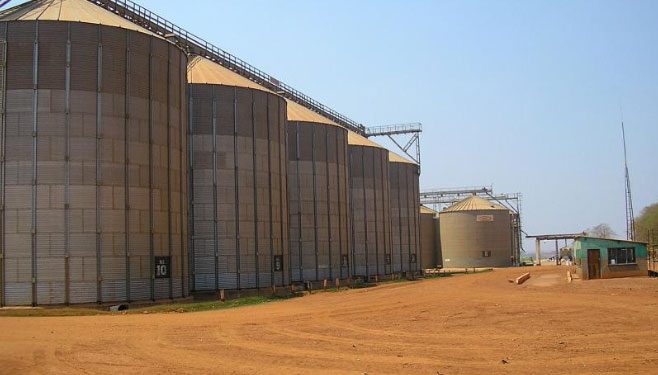 Bashkiria’s Agricultural Boom: How Wheat, Flax, and Barley Are Conquering Global Markets