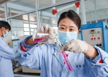 From Small Grains to Big Business: How Zhangbei County is Leading the Oat Revolution