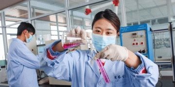 From Small Grains to Big Business: How Zhangbei County is Leading the Oat Revolution