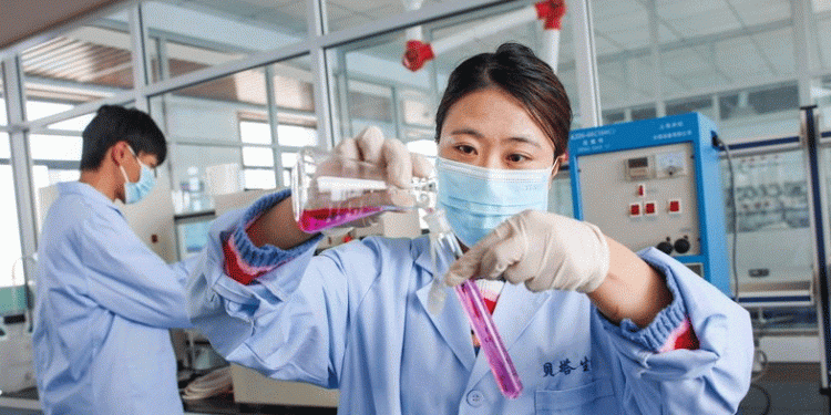 From Small Grains to Big Business: How Zhangbei County is Leading the Oat Revolution