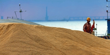 Russia’s Wheat Exports to Africa Surge: Key Markets and Emerging Trends