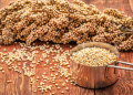 Sorghum: The Ancient Grain Making a Modern Comeback – A Nutrient Powerhouse for Sustainable Farming