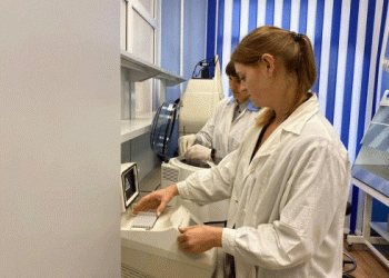 Cracking Down on Grain Quality: Omsk Region’s Stricter Controls and What It Means for Agriculture