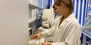 Cracking Down on Grain Quality: Omsk Region’s Stricter Controls and What It Means for Agriculture