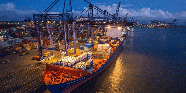 Record Grain Exports from Rostov: Key Markets, Quality Control, and Future Trends