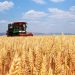 China’s 2025 Winter Wheat Harvest: Trends, Challenges, and Innovations in Modern Agriculture