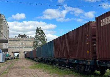 Kazakhstan Expands Wheat Exports to Vietnam: A Strategic Move for Agricultural Trade Growth