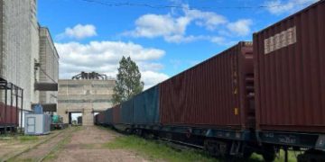 Kazakhstan Expands Wheat Exports to Vietnam: A Strategic Move for Agricultural Trade Growth