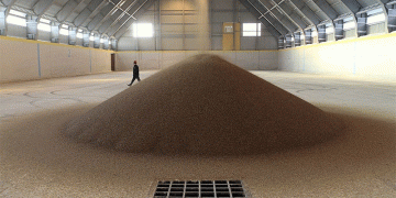 Russia’s Grain Intervention Sales Hit Another Record Low: What Does This Mean for Farmers and the Market?