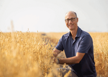 OT3125: The High-Yielding Oat Variety Set to Transform Prairie Farming