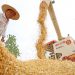 China’s Summer Wheat Harvest: Key Trends and Global Implications