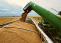 China Dominates Buryatia’s Grain and Oilseed Exports: A Shift in Trade Dynamics