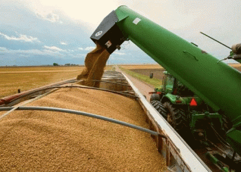 China Dominates Buryatia’s Grain and Oilseed Exports: A Shift in Trade Dynamics