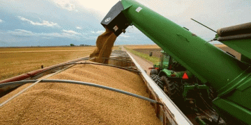 China Dominates Buryatia’s Grain and Oilseed Exports: A Shift in Trade Dynamics