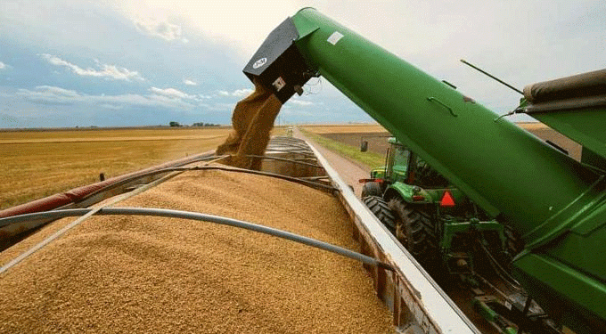China Dominates Buryatia’s Grain and Oilseed Exports: A Shift in Trade Dynamics