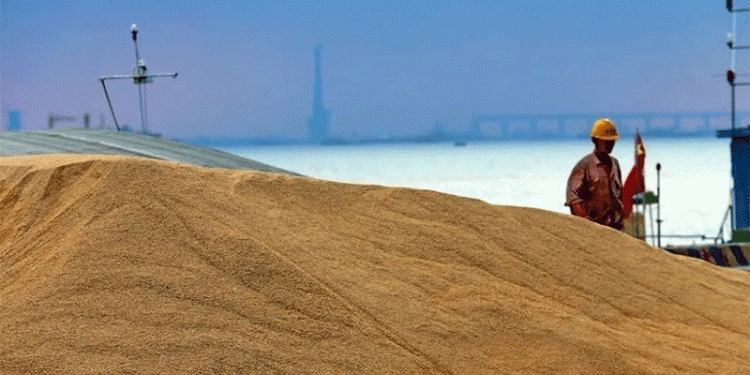 Russia’s Grain Dominance in Muslim Markets: Key Trends, Challenges, and Future Outlook