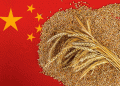 China’s Drastic Grain Import Drop: What It Means for Global Agriculture