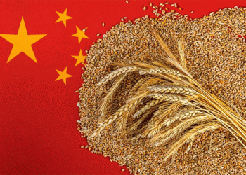 China’s Drastic Grain Import Drop: What It Means for Global Agriculture