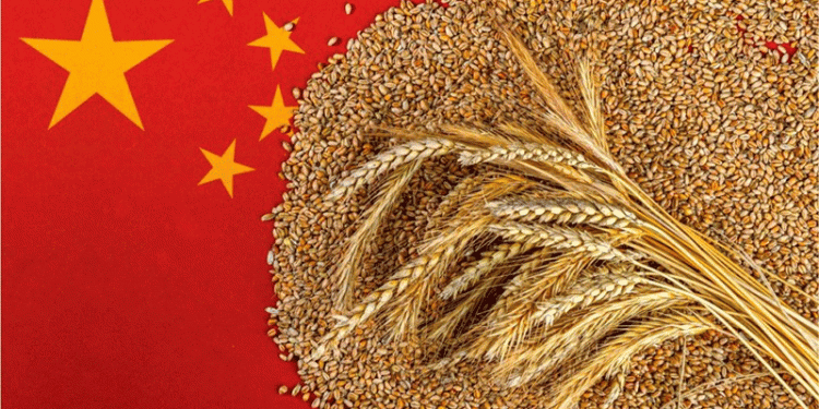 China’s Drastic Grain Import Drop: What It Means for Global Agriculture