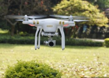 Drones and Genetics: Revolutionizing Drought-Resistant Wheat for a Changing Climate