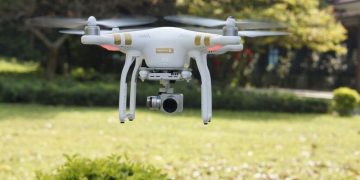 Drones and Genetics: Revolutionizing Drought-Resistant Wheat for a Changing Climate