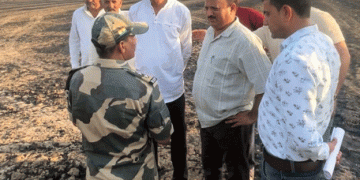 Wheat Crop Devastated by Massive Fire in Majra: Assessing Losses and Demanding Solutions for Farmers