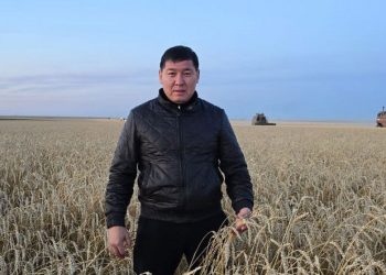 Liquid Fertilizers: The Key to High-Protein Wheat and Sustainable Soil Health in Kazakhstan