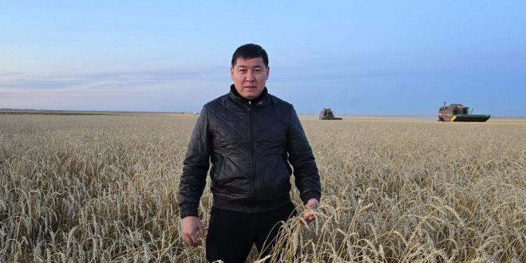 Liquid Fertilizers: The Key to High-Protein Wheat and Sustainable Soil Health in Kazakhstan