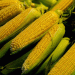 Title: “China’s Corn Craze: Russia’s Agricultural Export Boom and What It Means for Global Trade”