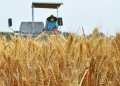 China’s ‘Three Summers’ Wheat Harvest Wraps Up: Key Insights for Modern Agriculture