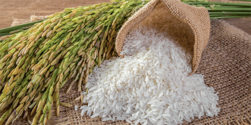 Indonesia-Malaysia Rice Trade Deal: A Strategic Move for ASEAN Food Security