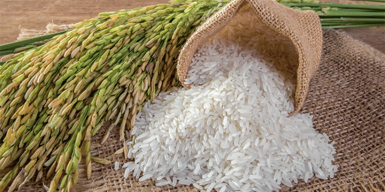 Indonesia-Malaysia Rice Trade Deal: A Strategic Move for ASEAN Food Security
