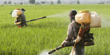 Misuse of Pesticides: A Costly Mistake for Farmers and the Agriculture Industry