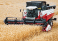 High-Yield ‘Bagrat’ Wheat Harvest Begins in Osh Region: A Model for Sustainable Farming?