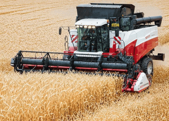 High-Yield ‘Bagrat’ Wheat Harvest Begins in Osh Region: A Model for Sustainable Farming?