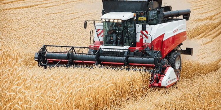 High-Yield ‘Bagrat’ Wheat Harvest Begins in Osh Region: A Model for Sustainable Farming?