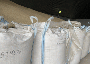 Kazakhstan Barley Prices Soar: Strong Demand from China and Iran Drives Market